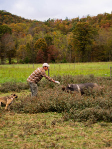 Family Farm